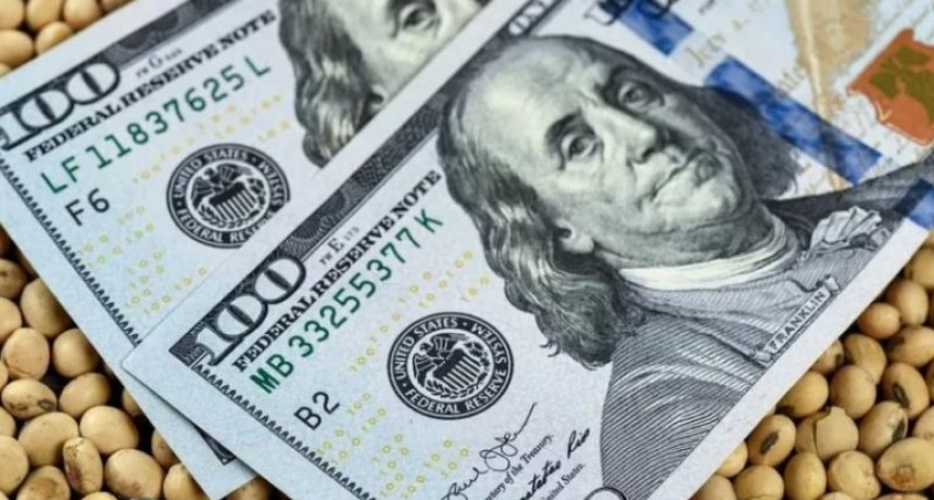 Cerealeras liquidaron US$ 2.451 millones en agosto