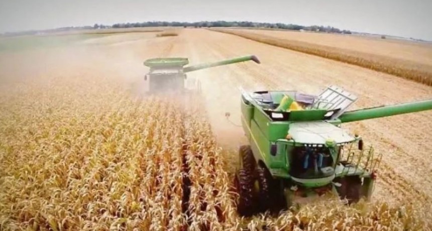 La agroindustria ya liquid&oacute; m&aacute;s de US$ 16.000 millones y se espera que acelere la venta de soja