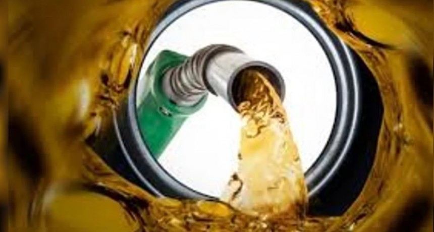 Argentina se suma a la tendencia mundial de producci&oacute;n de di&eacute;sel renovable