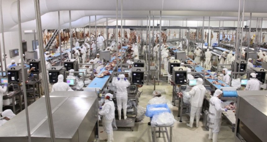 En agosto, la faena bovina retrocedi&oacute; un 5,4%