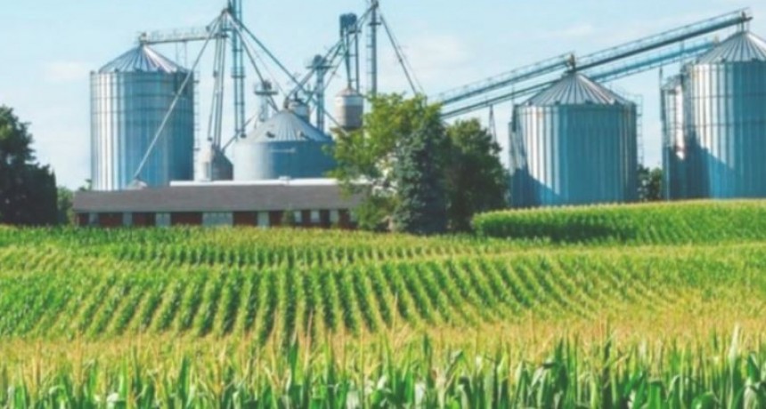 Diputados debate un r&eacute;gimen de promoci&oacute;n agroindustrial