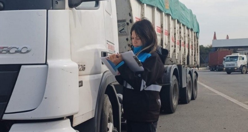 Se detectaron 71 toneladas de m&aacute;s en camiones de carga