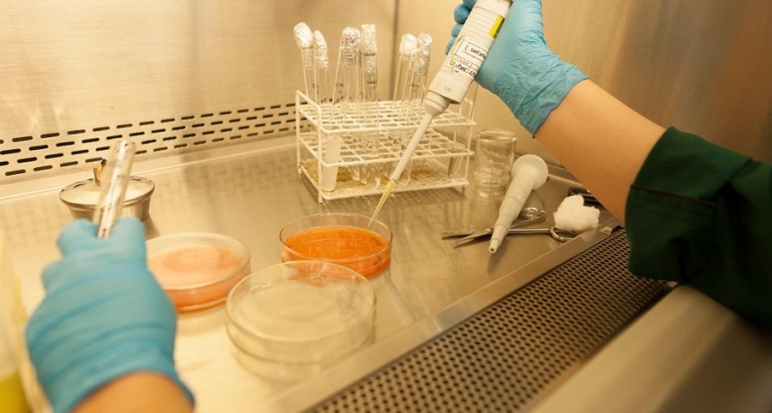 Se agilizan los tiempos para tramitar el registro de productos biol&oacute;gicos de uso veterinario