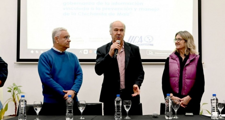 Cooperaci&oacute;n p&uacute;blico-privada para enfrentar la plaga de la Chicharrita del ma&iacute;z