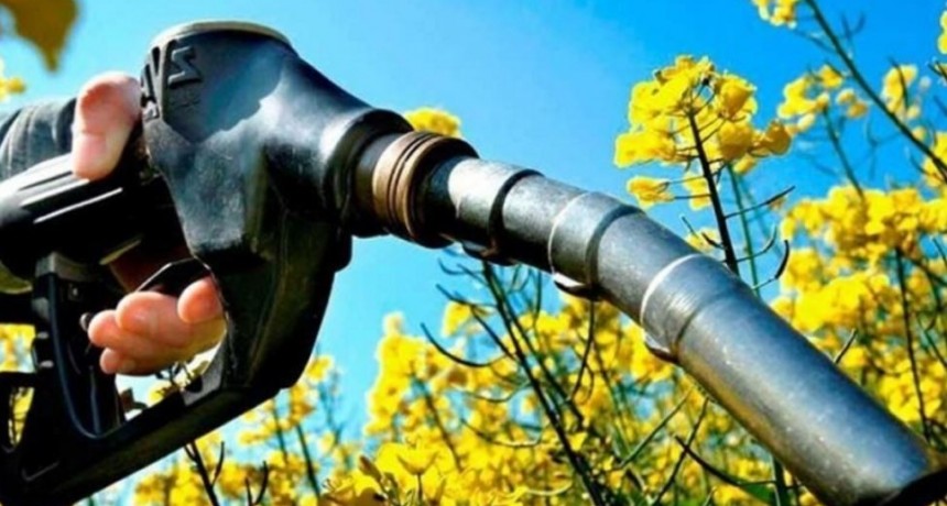 El Gobierno autoriz&oacute; aumentos en el precio del biocombustible