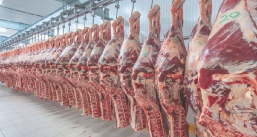Mercados de carne vacuna: las exportaciones crecieron un 23% en agosto