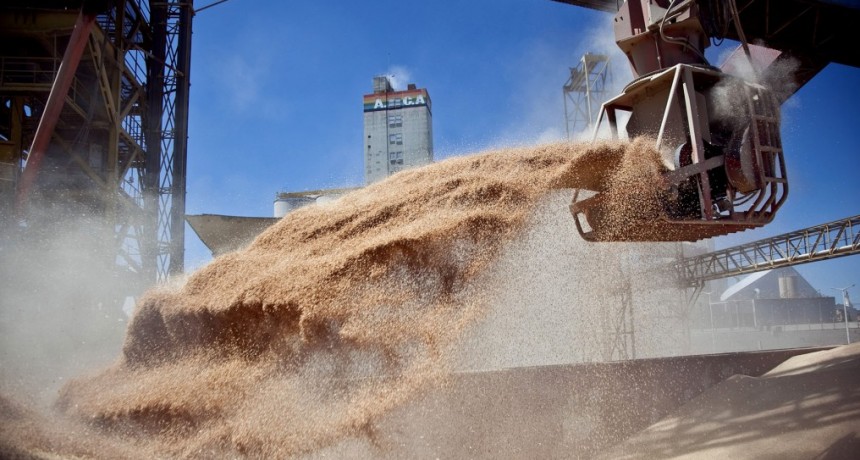 La cosecha de granos 2024/2025 aumentar&aacute; 9,3% solo si el clima acompa&ntilde;a