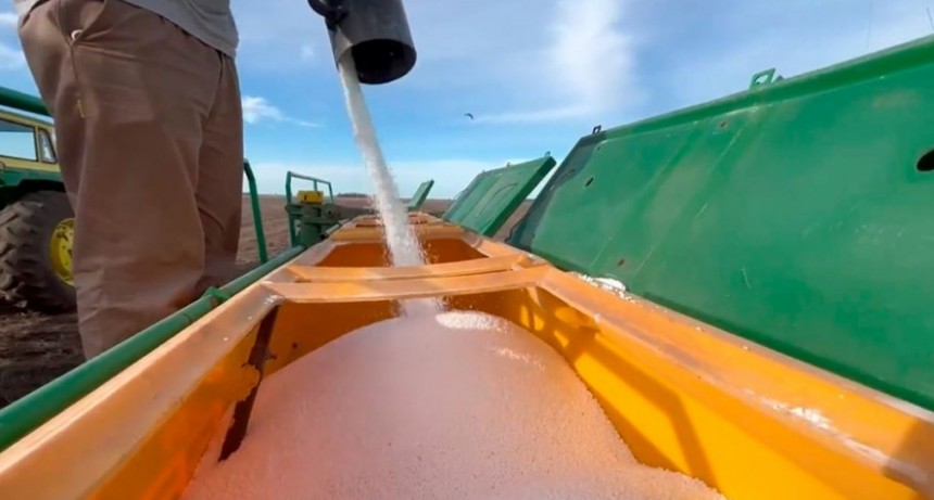 Una buena para el ma&iacute;z: La baja del impuesto Pa&iacute;s ya se refleja en el precio de los fertilizantes