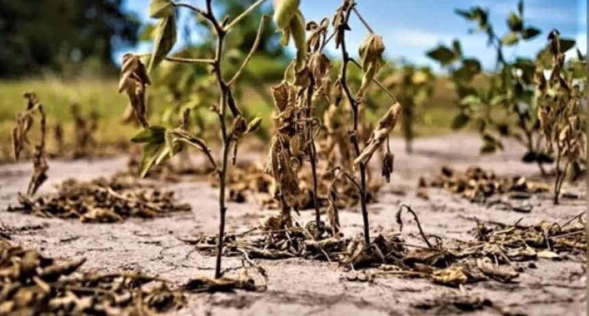 Preocupaci&oacute;n por La Ni&ntilde;a y el cuadro de sequ&iacute;a que se viene para el resto de la primavera