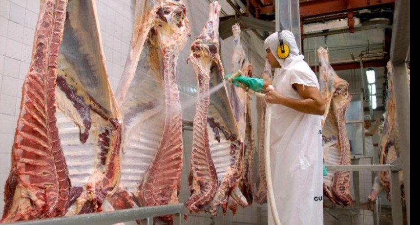 Argentina expande exportaciones c&aacute;rnicas a China con cuatro nuevas plantas