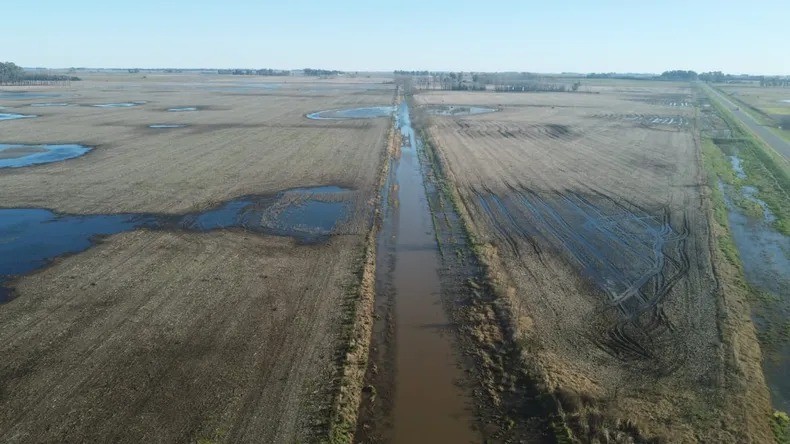 Nación declaró la emergencia agropecuaria en 12 distritos bonaerenses