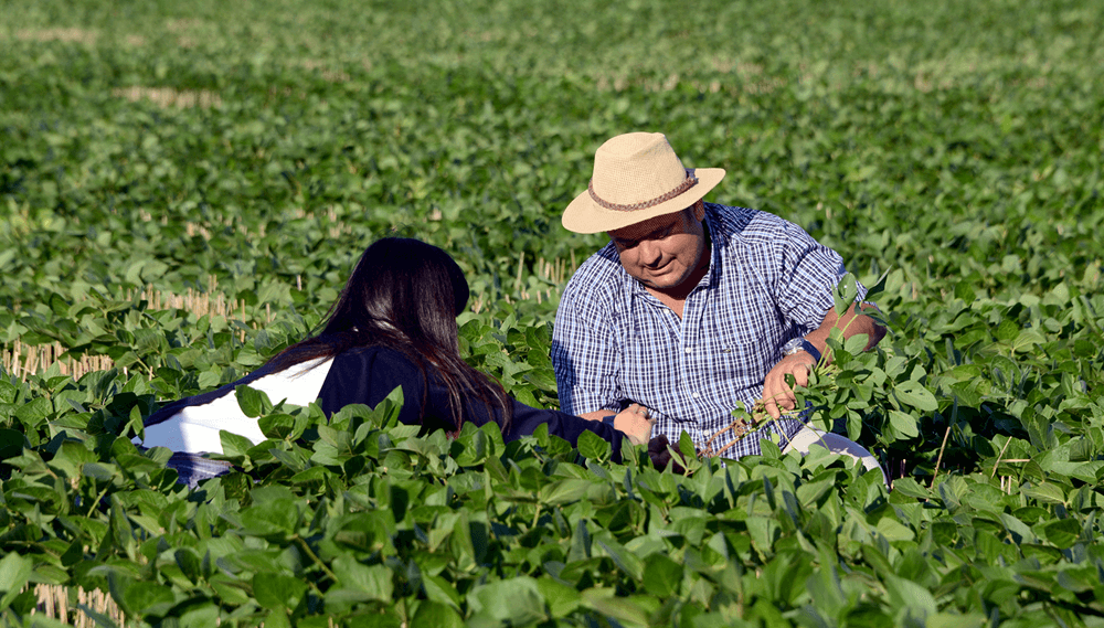 Argentina celebra el Día del Agricultor y del Productor Agropecuario