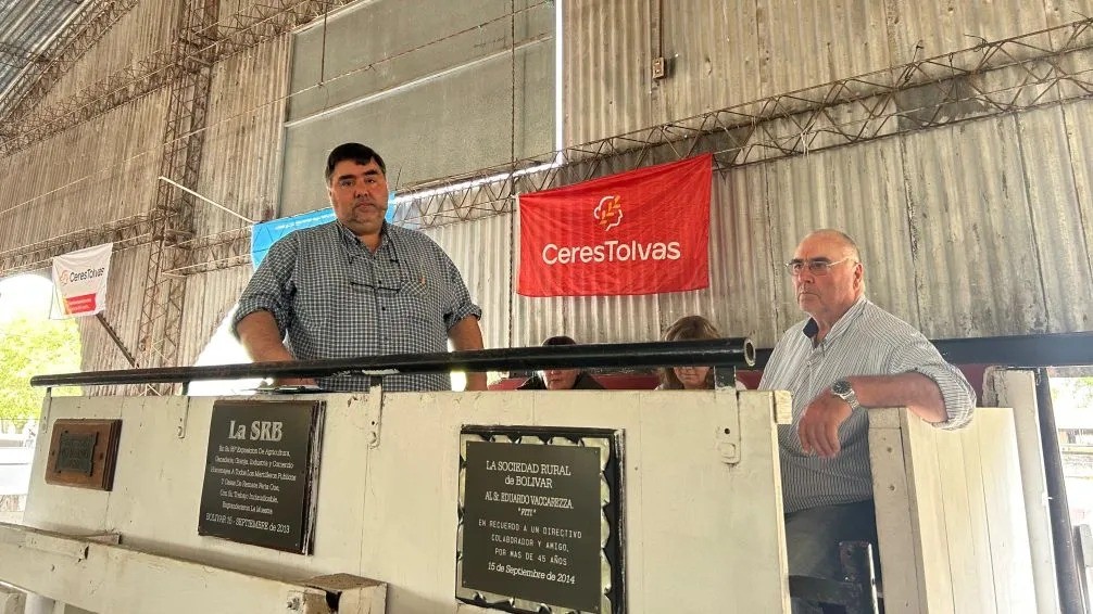 Remates Ciasa entre los martillos protagonistas de la 96° Expo de Bolívar