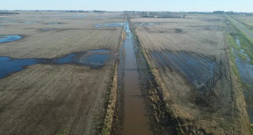 Naci&oacute;n declar&oacute; la emergencia agropecuaria en 12 distritos bonaerenses
