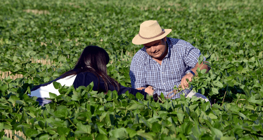 Argentina celebra el D&iacute;a del Agricultor y del Productor Agropecuario