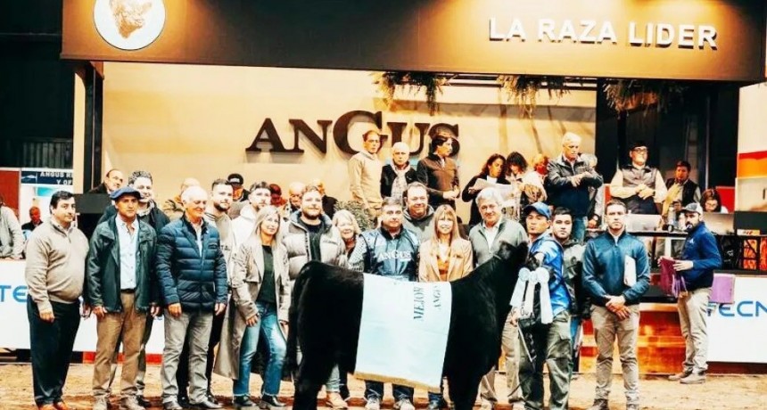 Bol&iacute;var: la ganader&iacute;a promete armar una verdadera fiesta de calidad en la Expo Rural 