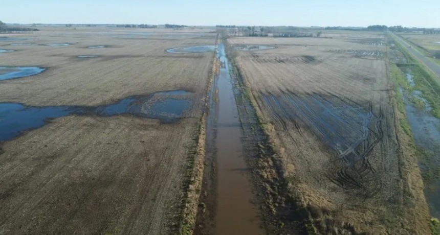 Un proyecto de ley busca reformar el r&eacute;gimen de emergencia agropecuaria