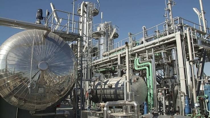 Biodiesel en Argentina: producci&oacute;n estancada y r&eacute;cord global