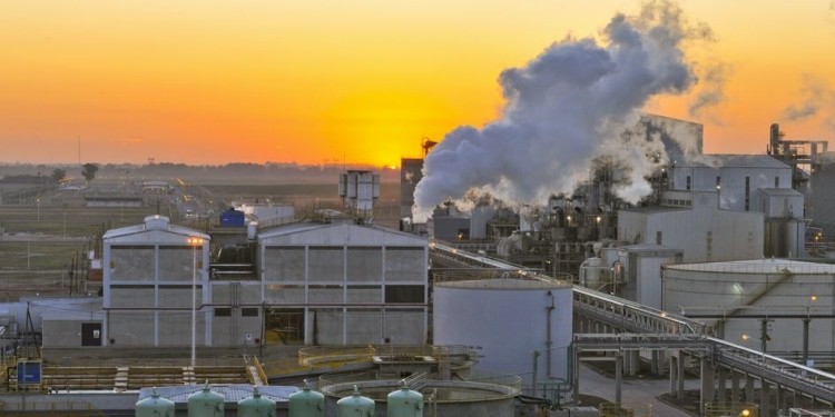 Soja: la industria aceitera vuelve a liderar el mercado