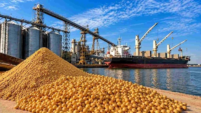 Soja en Argentina: c&oacute;mo se comercializa y hacia d&oacute;nde va el grano