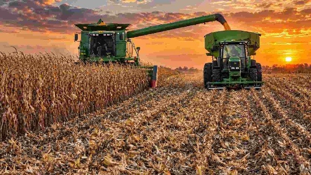 La Pampa: ma&iacute;z r&eacute;cord pese a la cosecha demorada y la nueva apuesta por soja y girasol