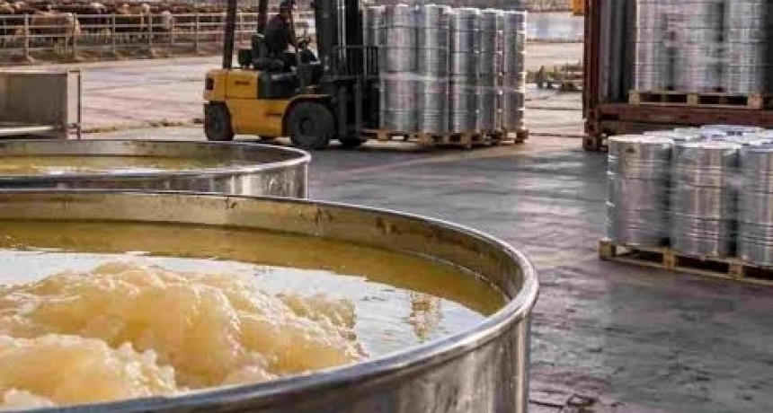 Sebo bovino: Argentina multiplic&oacute; por 20 sus exportaciones
