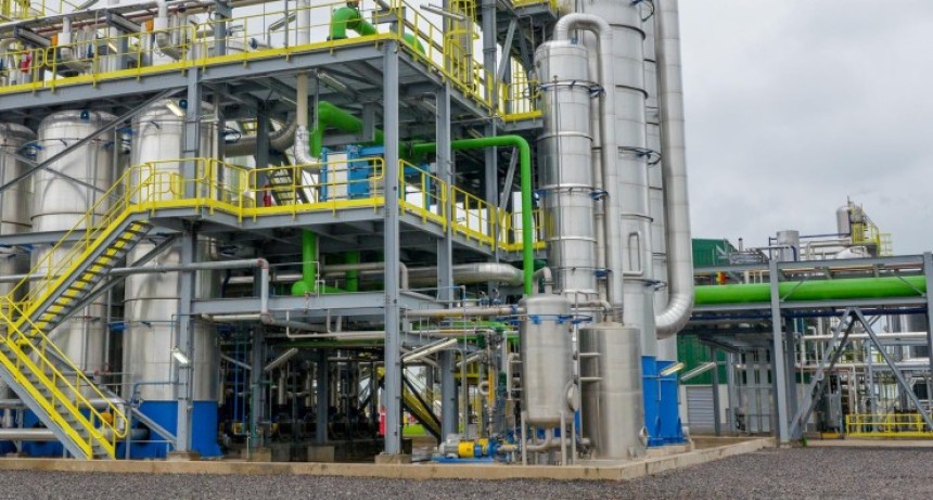 Argentina autoriz&oacute; una nueva levadura transg&eacute;nica para producir bioetanol