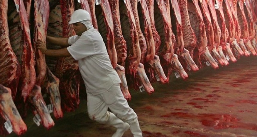 Carne vacuna: la faena cay&oacute; 12,9% y el consumo per c&aacute;pita baj&oacute; a 46 kilos