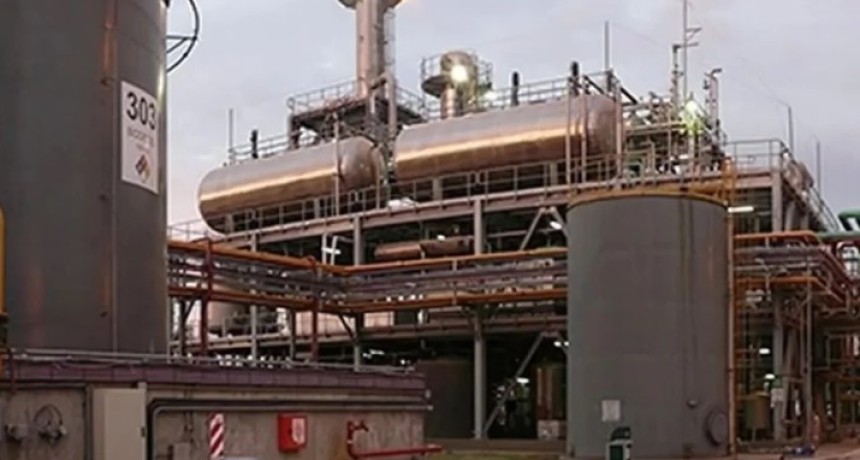Nuevo marco para los biocombustibles: reclaman m&aacute;s cortes, competencia e inversiones