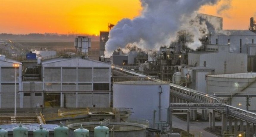 Soja: la industria aceitera vuelve a liderar el mercado