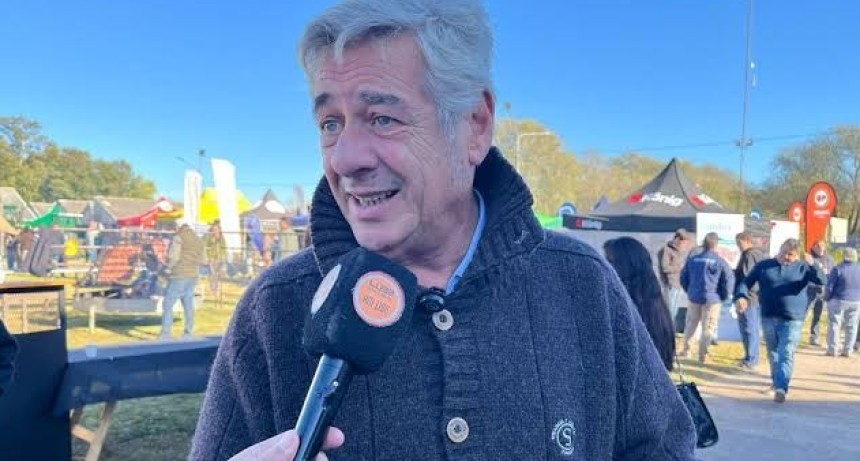 Nicol&aacute;s Pino: &ldquo;Estamos hartos de pagar&rdquo;