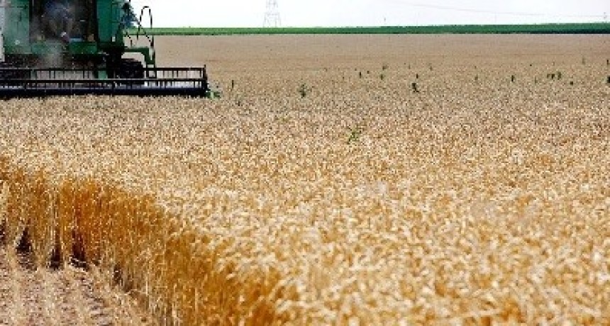 El agro proyecta 155,8 Mt y un r&eacute;cord de US$ 42.200 millones