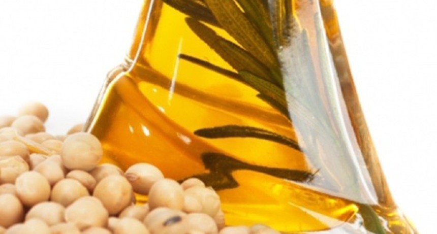 R&eacute;cord para el aceite de soja argentino y nuevas oportunidades para ma&iacute;z y trigo
