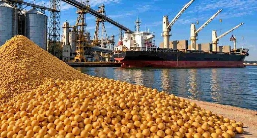 Soja en Argentina: c&oacute;mo se comercializa y hacia d&oacute;nde va el grano