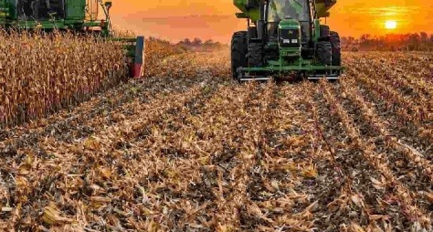 La Pampa: ma&iacute;z r&eacute;cord pese a la cosecha demorada y la nueva apuesta por soja y girasol