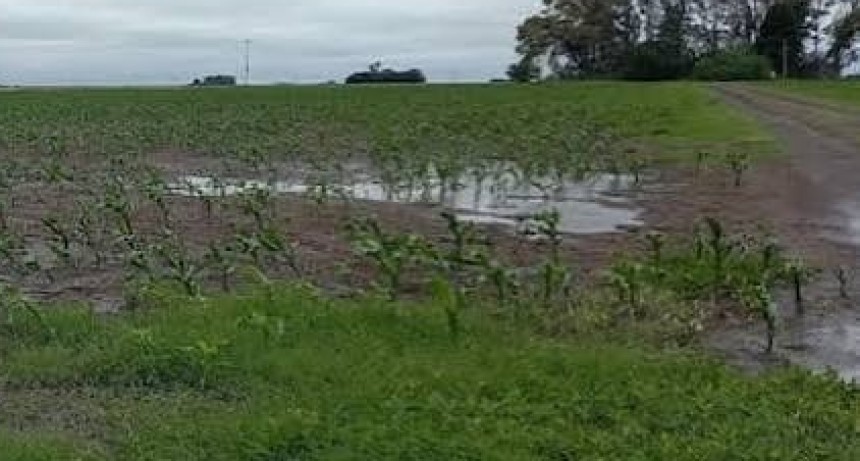 Lluvias en C&oacute;rdoba: los acumulados fueron muy heterog&eacute;neos
