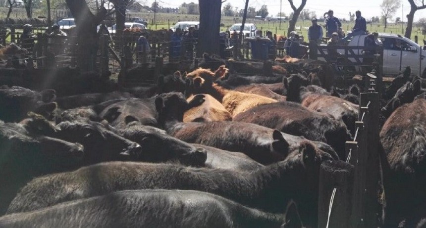  Precio &iacute;ndice Mercado Agroganadero: $285.50