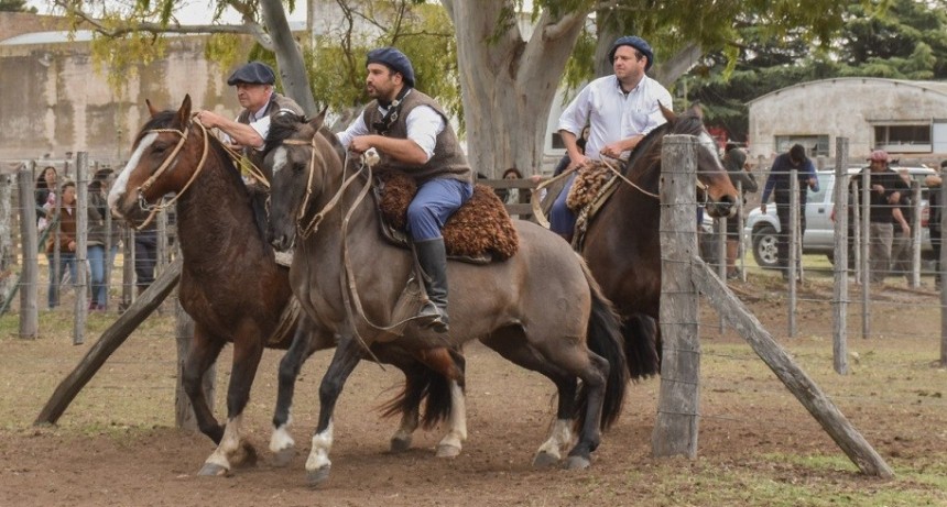 Se viene la sexta Exposici&oacute;n de Caballos Criollos en Laprida