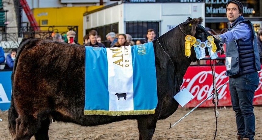 'Tuvimos un a&ntilde;o logrando grandes campeones'
