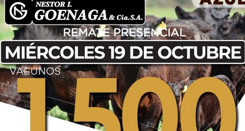 El mi&eacute;rcoles 19 se realiza el remate mensual de N&eacute;stor I.Goenaga y CIA