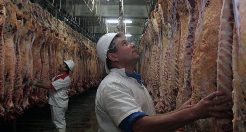 Frigor&iacute;ficos del consumo interno eval&uacute;an ir a la Justicia para frenar el troceo de la media res