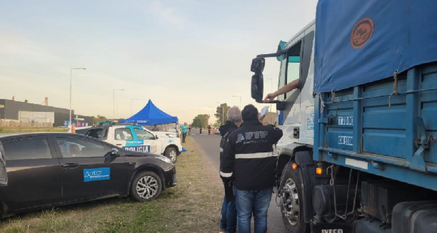 AFIP detect&oacute; irregularidades en camiones durante un operativo conjunto en rutas bonaerenses