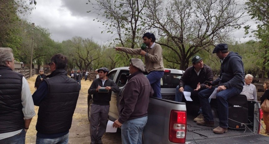 Se realiz&oacute; el 7&deg; Remate Colombo y Magliano S.A junto a Germ&aacute;n Alberdi en Olavarr&iacute;a