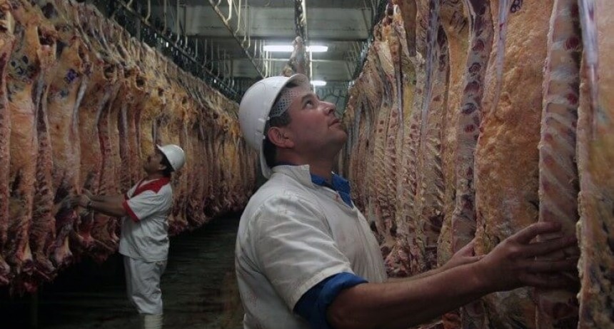 El Gobierno ratific&oacute; el inicio del troceo de carne y fij&oacute; sanciones para quienes no cumplan