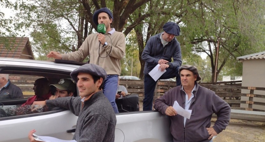 Buenas ventas en el remate de Colombo y Magliano