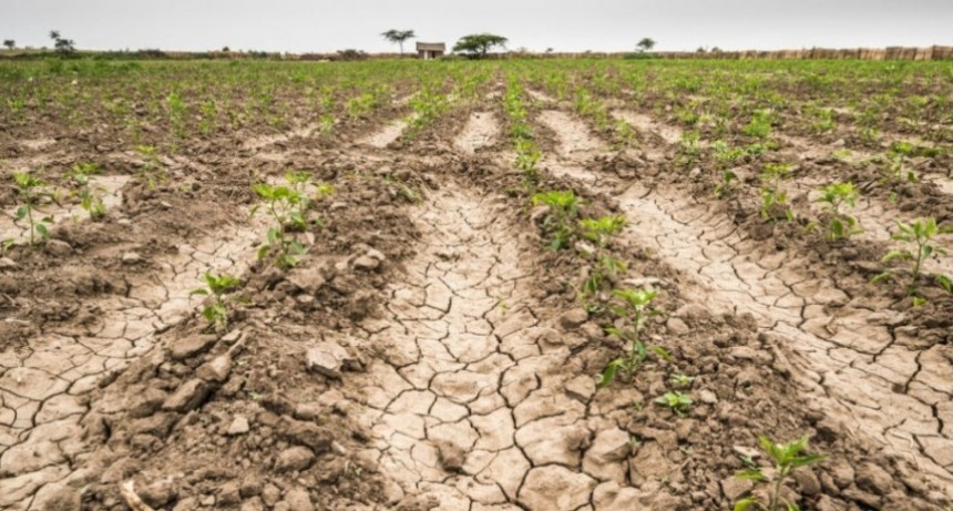 Diputados de la Coalici&oacute;n C&iacute;vica y la UCR le exigieron al gobernador Kicillof que declare la emergencia agropecuaria ante la cat&aacute;strofe que afecta al sector