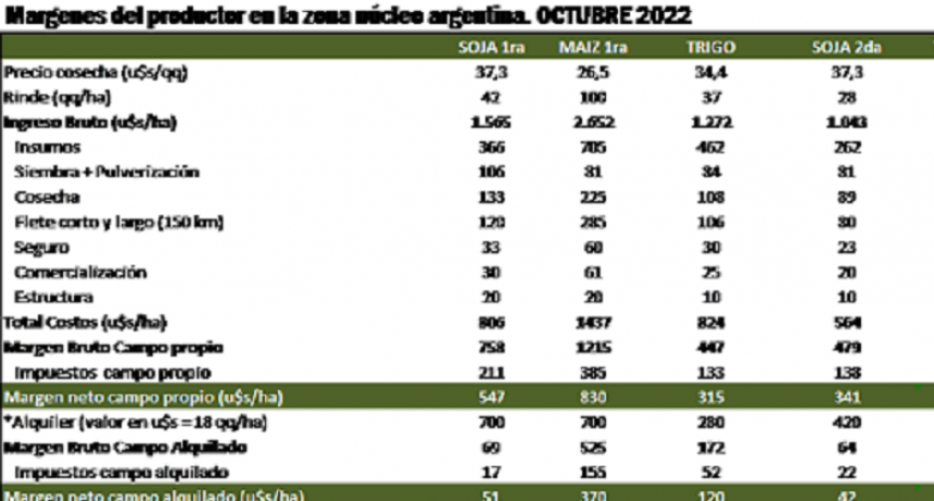 Trigo: la sequ&iacute;a generar&iacute;a p&eacute;rdidas de hasta 800 d&oacute;lares por hect&aacute;reas en la zona n&uacute;cleo