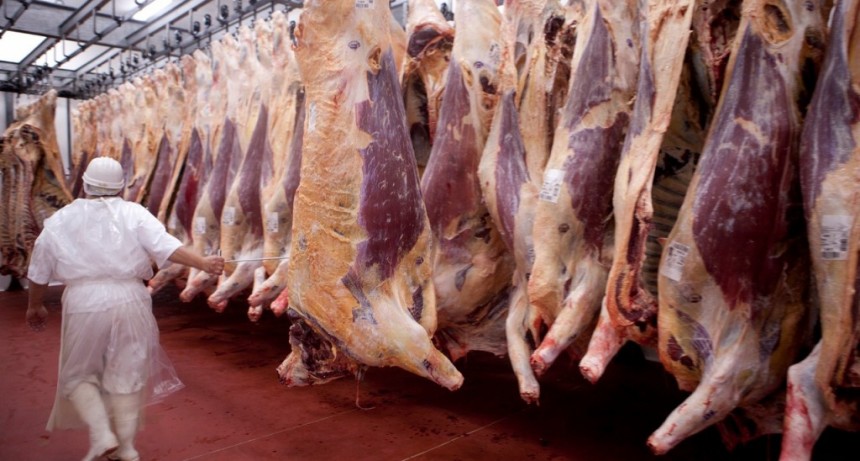 Serbia, nuevo destino para las carnes bovinas sin hueso de la Argentina