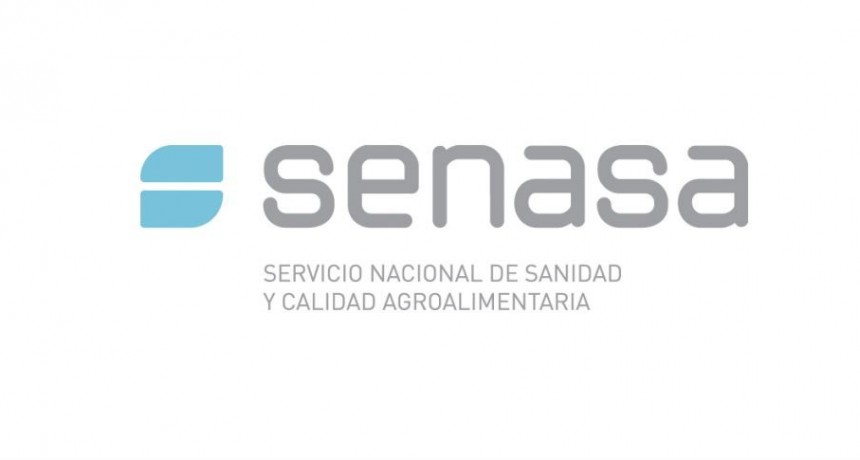 Desde Senasa se refirieron a la apertura de exportaciones a Serbia de carne bovina sin hueso