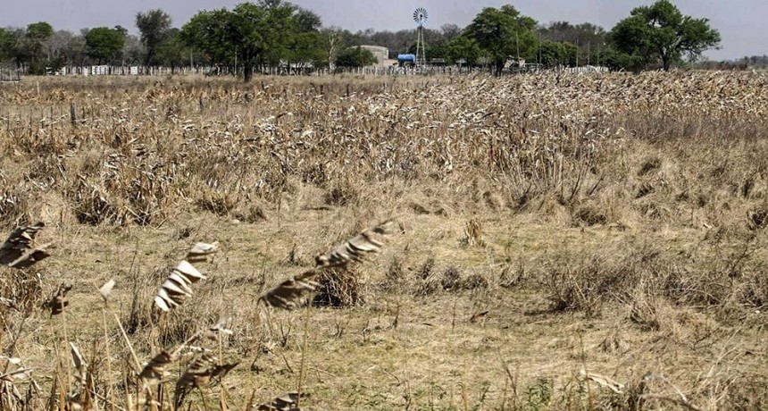 Agricultura advirti&oacute; sobre la sequ&iacute;a y prometi&oacute; 